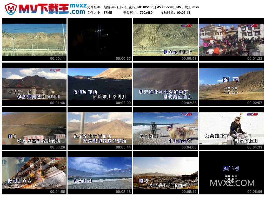 赵雷-阿刁_国语_流行_MD105133